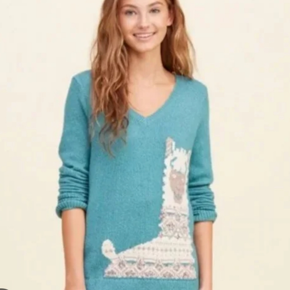 Hollister Teal V-Neck Sweater with Llama Design
